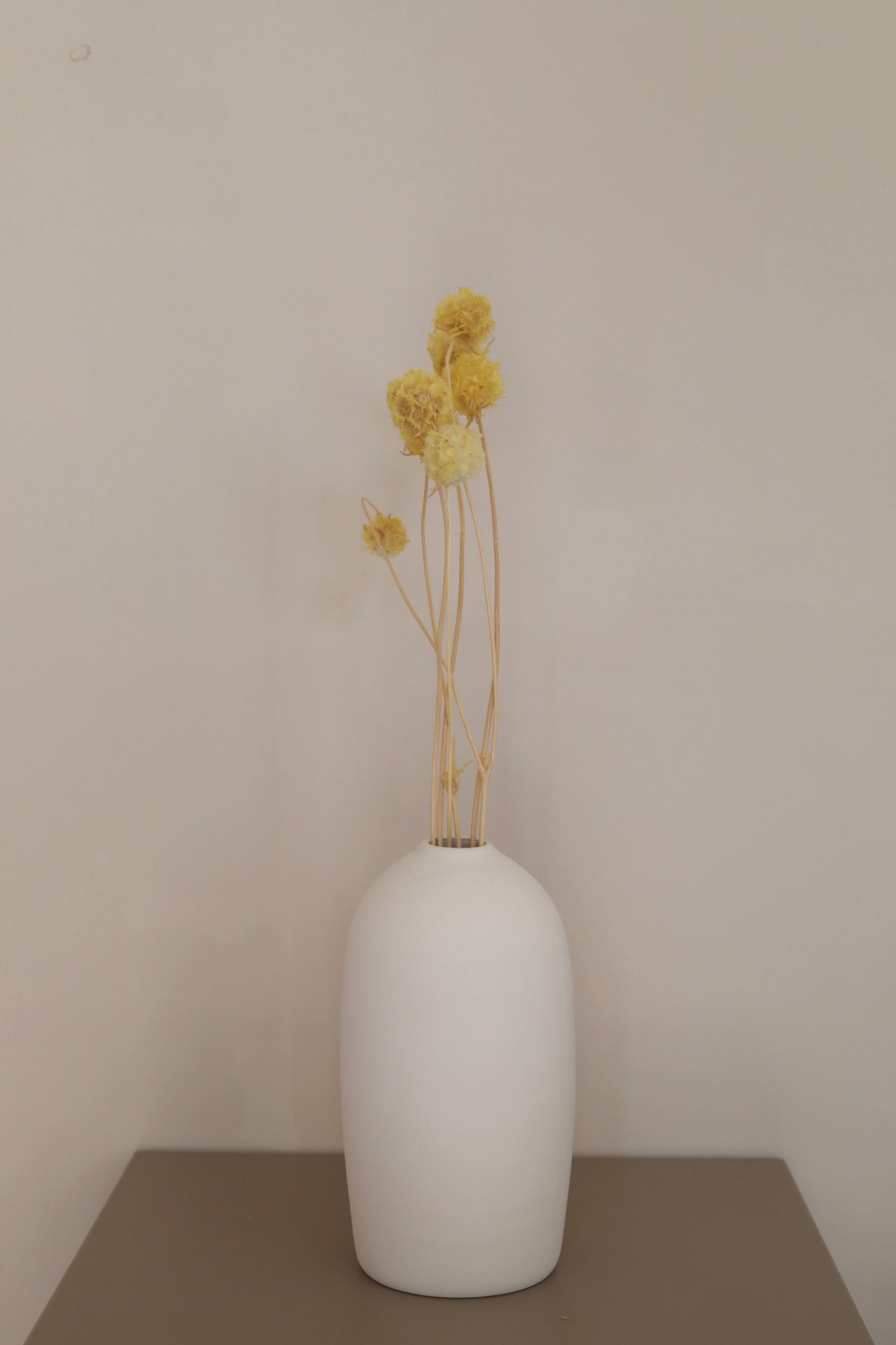 Trockenblumen im Bund | Scabiosa gelb - Hometerior - Hometerior - 