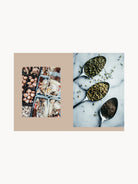 Veggies, every day I Cozy Publishing - Hometerior - Cozy Publishing - 